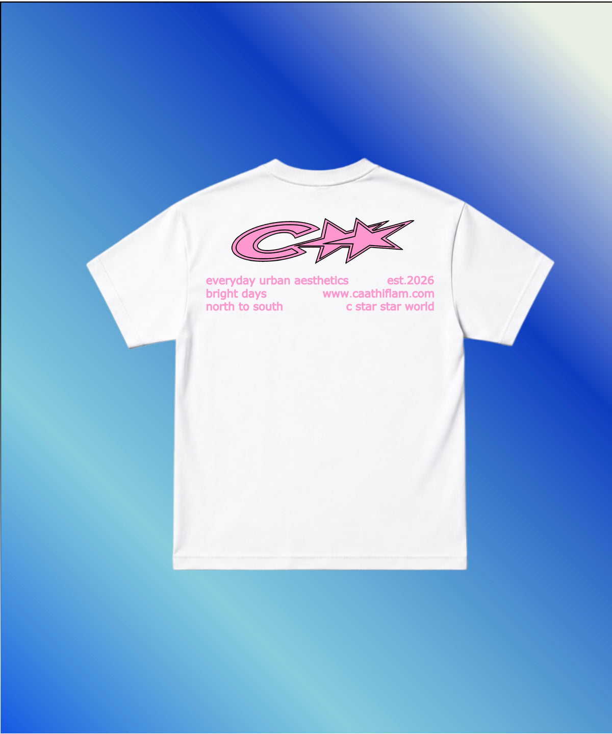 Caa ( Unisex Oversized Standard T-Shirt )